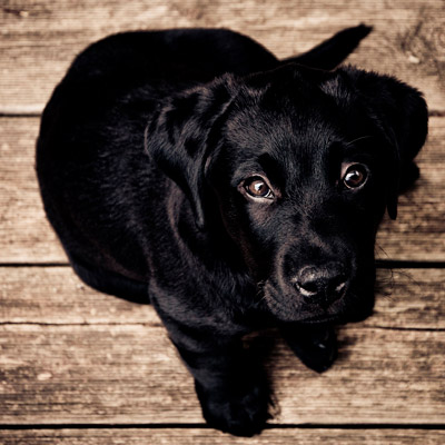 免费ddos在线攻击测试网站