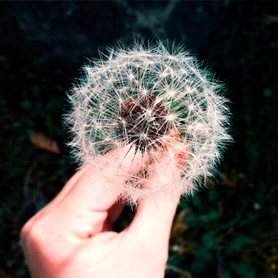 网站攻击软件工具