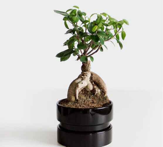 【一键更新】自动的怎么去攻击一个网站与防护